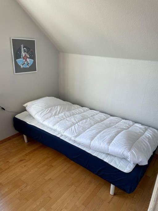 Familjevaenligt Hus Naera Isaberg! Vila Hestra Exterior foto